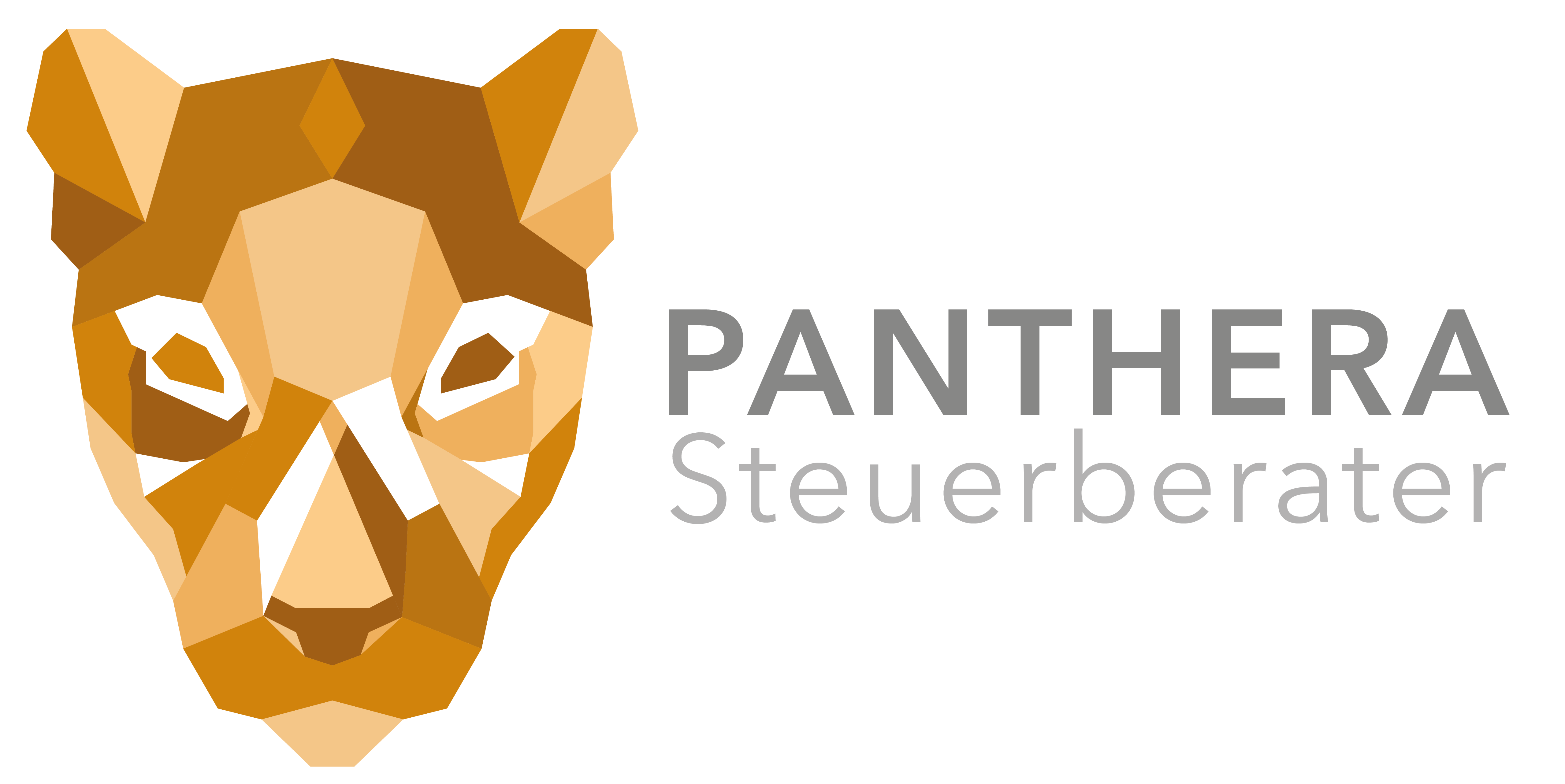 Panthera Steuerberater