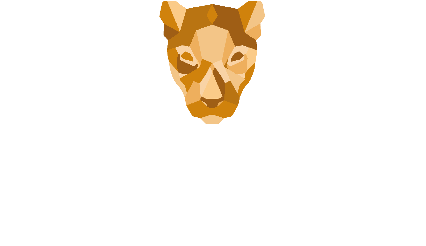 Panthera Steuerberater Logo